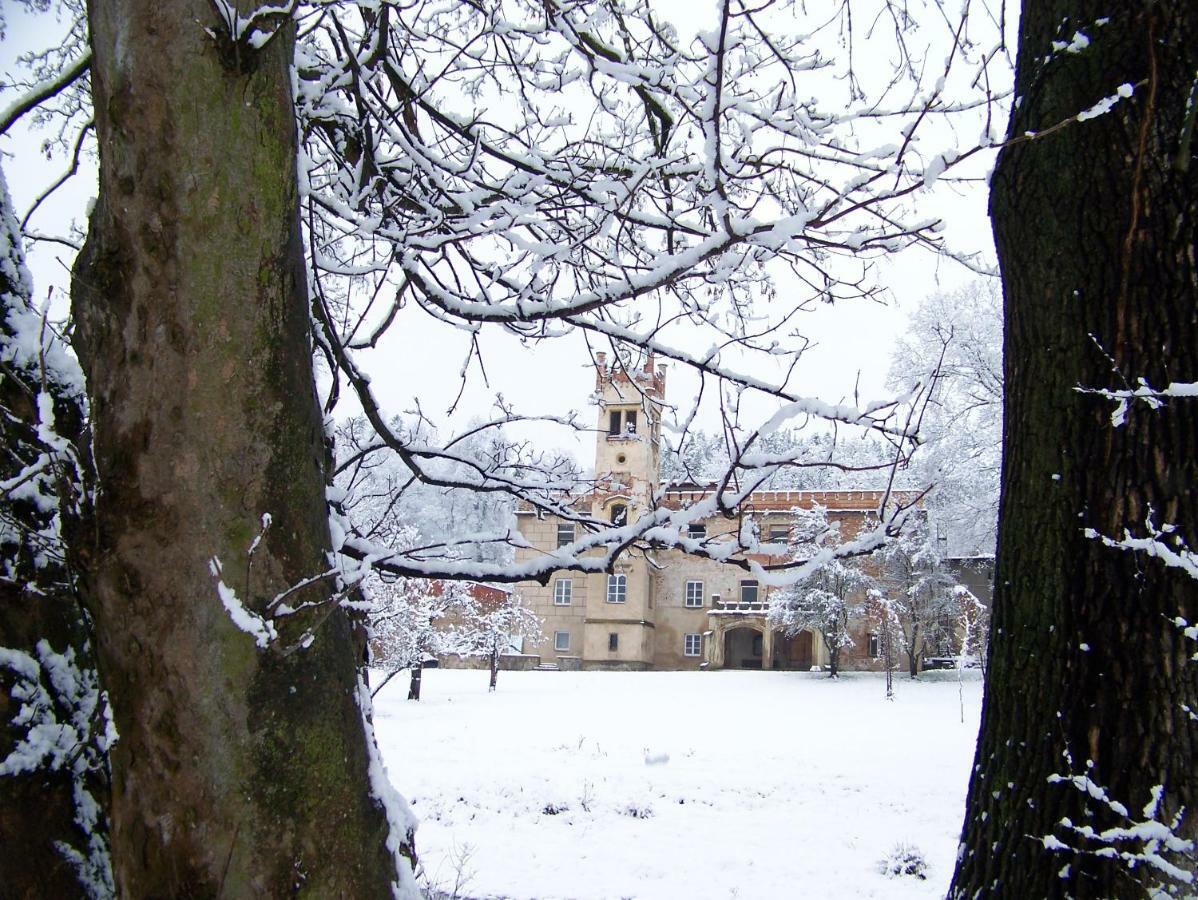 Palac Dabrowica Dabrowica (Jelenia Gora) Exterior foto