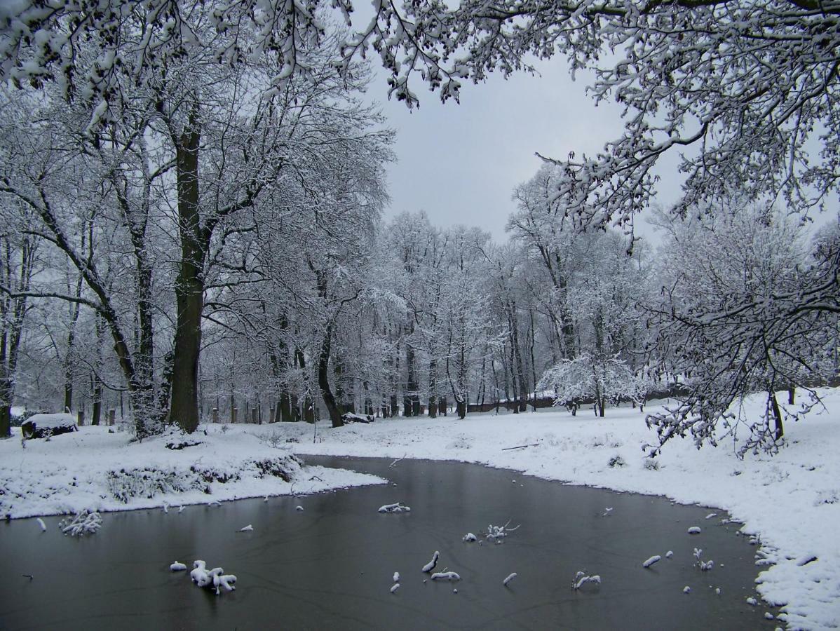 Palac Dabrowica Dabrowica (Jelenia Gora) Exterior foto