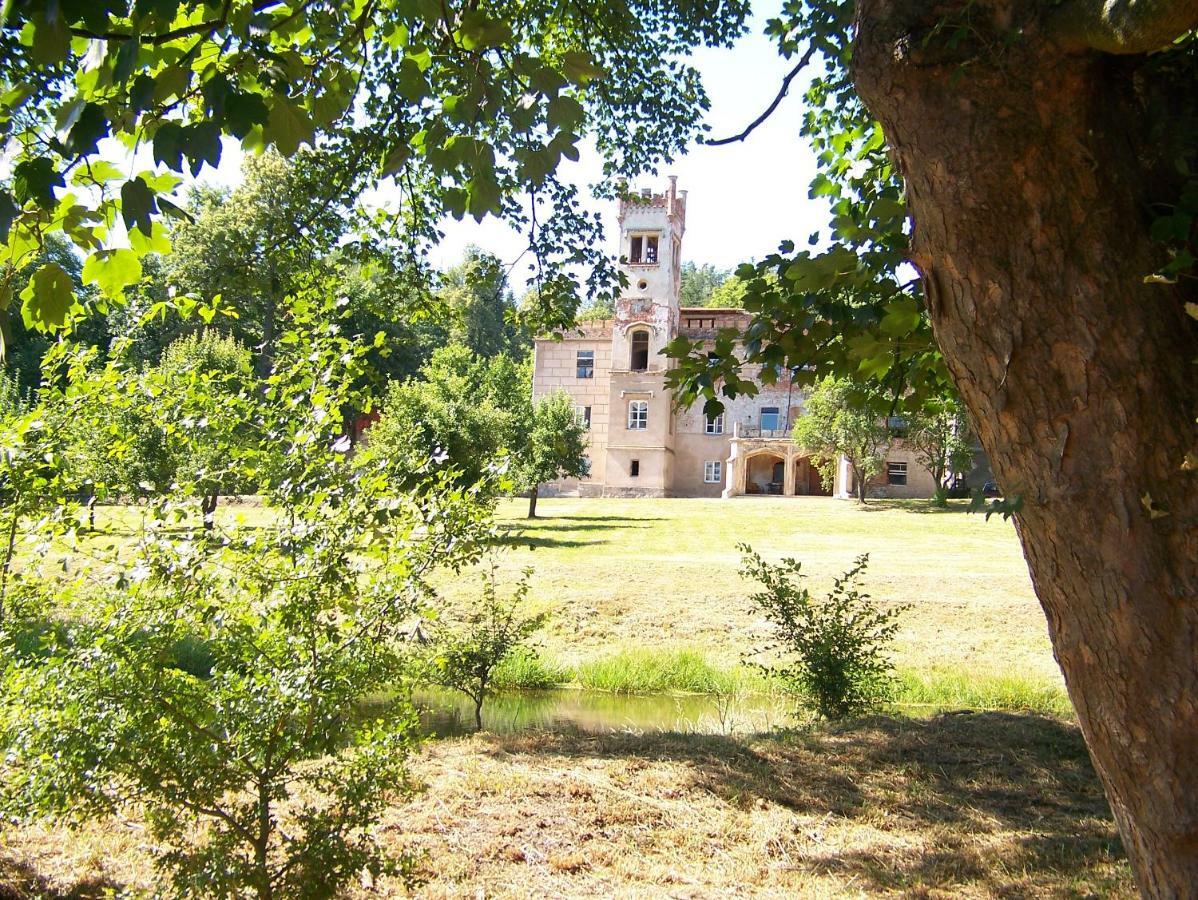 Palac Dabrowica Dabrowica (Jelenia Gora) Exterior foto