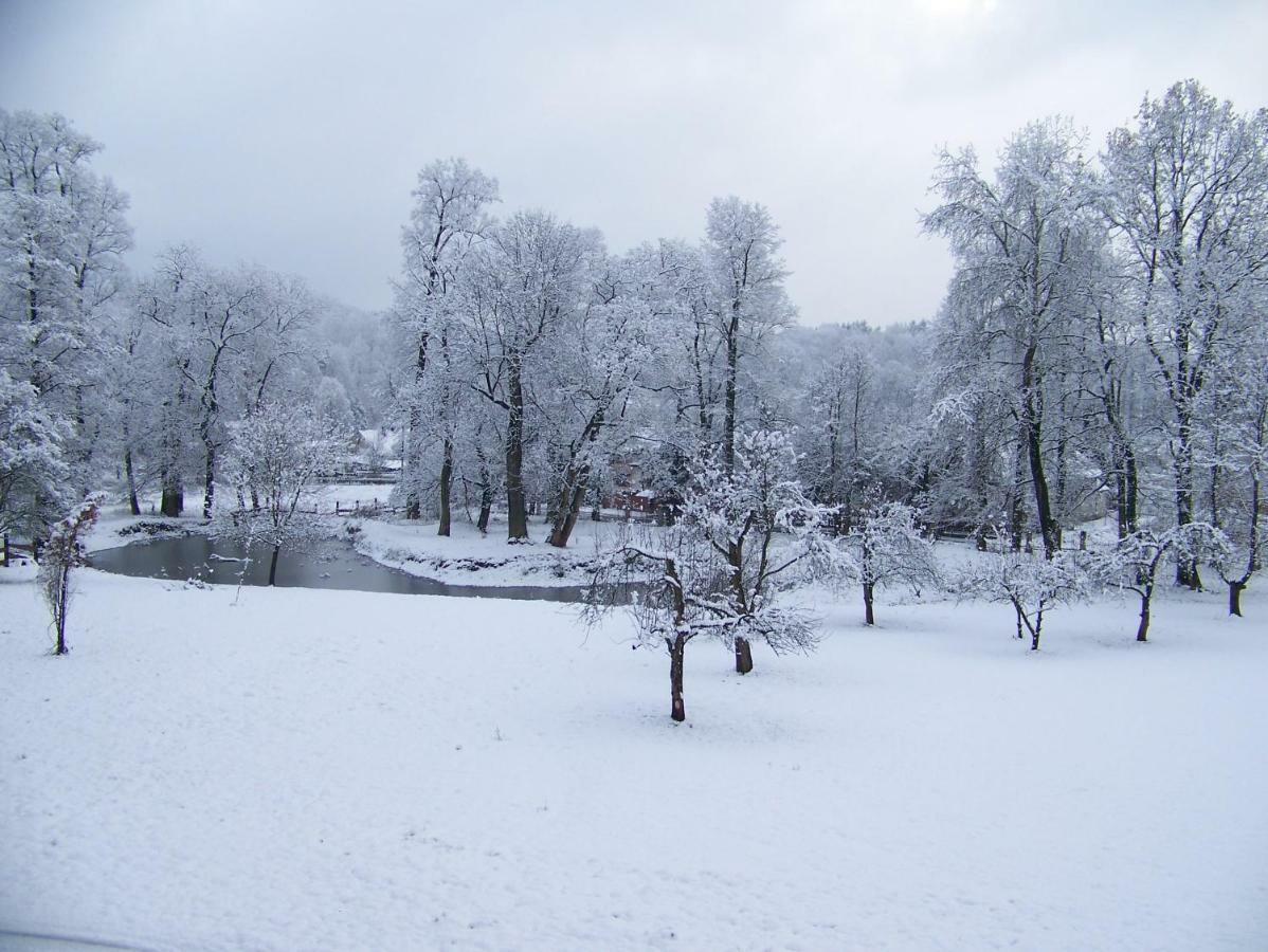Palac Dabrowica Dabrowica (Jelenia Gora) Exterior foto