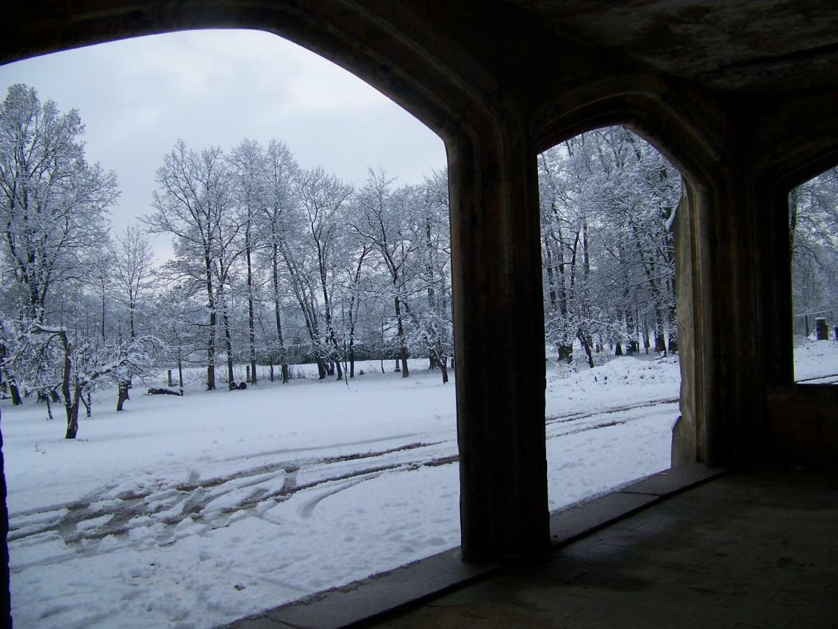 Palac Dabrowica Dabrowica (Jelenia Gora) Exterior foto