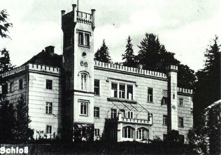 Palac Dabrowica Dabrowica (Jelenia Gora) Exterior foto
