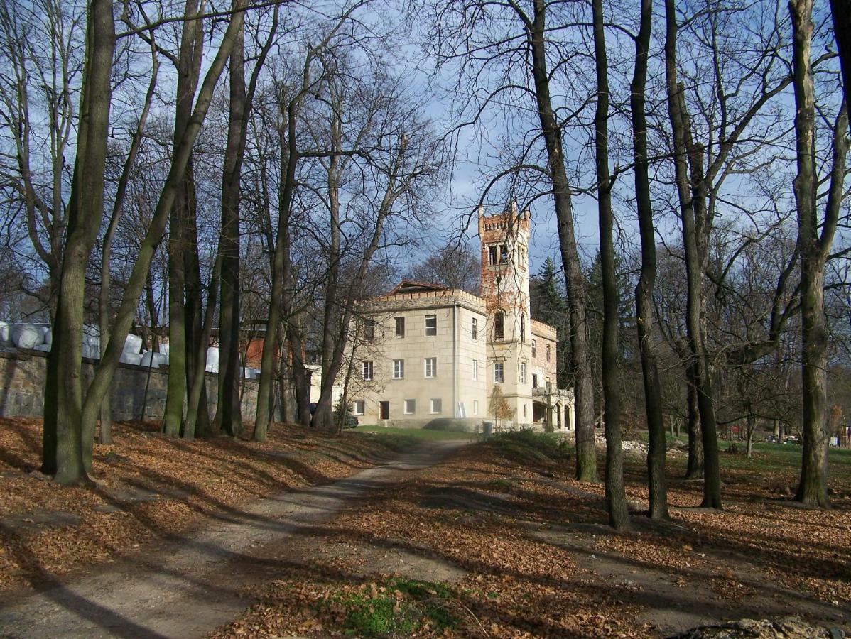 Palac Dabrowica Dabrowica (Jelenia Gora) Exterior foto